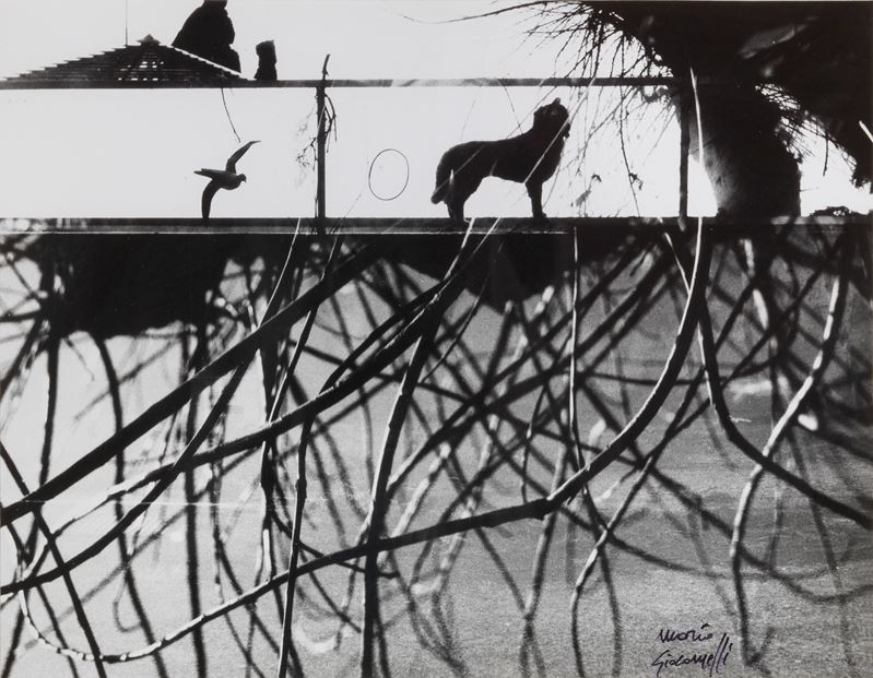 Mario Giacomelli - Senza Titolo