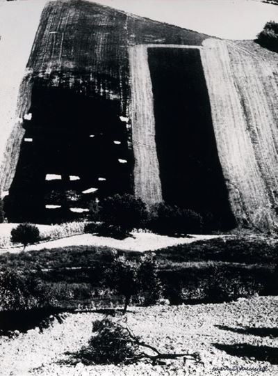Presa di Coscienza sulla Natura