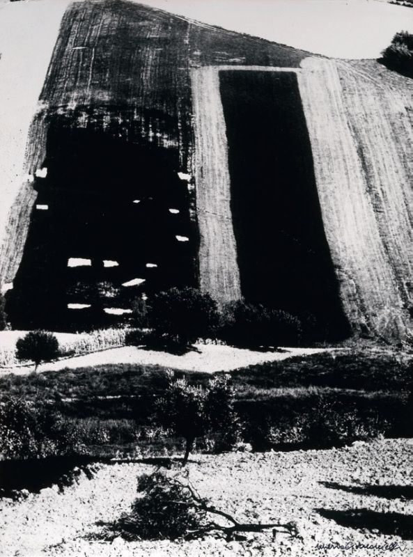Mario Giacomelli - Presa di Coscienza sulla Natura