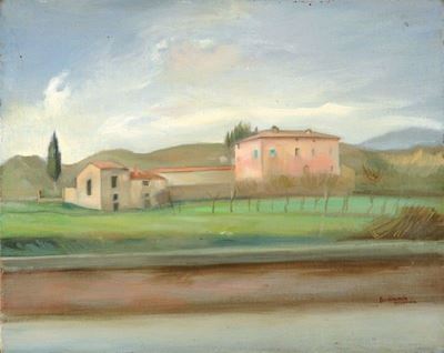 Terranova