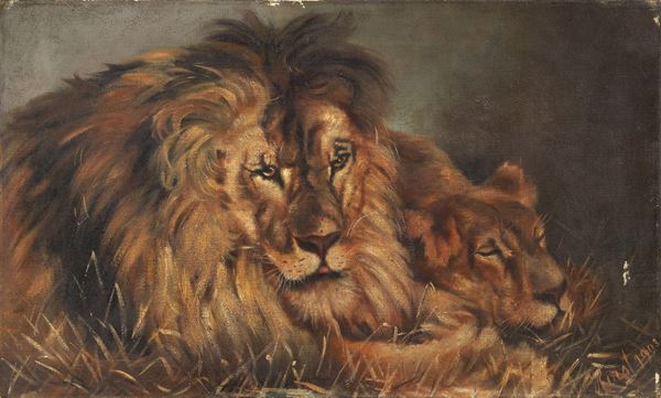 Ignoto del XX secolo - Leone e leonessa