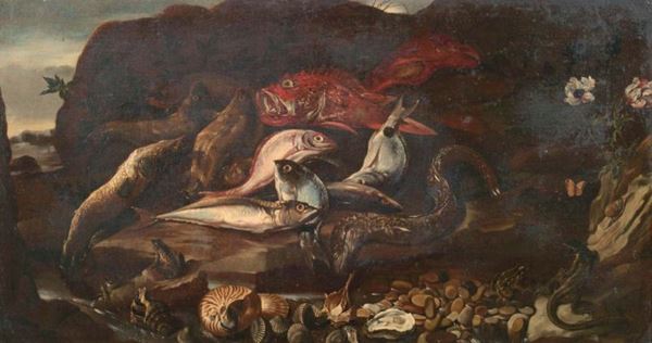 Paolo Porpora (attr.a) - Natura morta con pesci e conchiglie