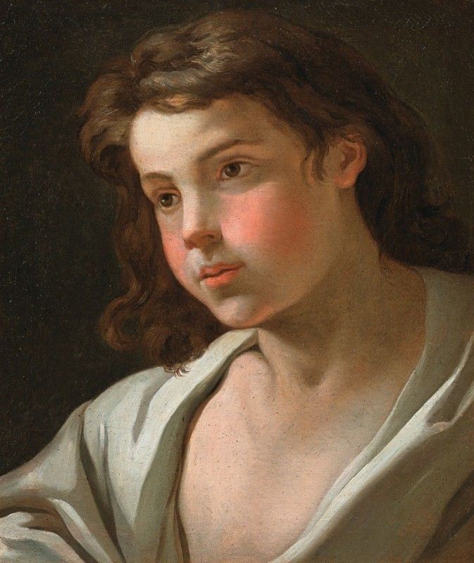 Scuola Bolognese del XVIII Secolo - Testa di Giovanetto