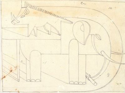 Elefante e Cinghiale