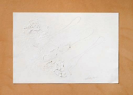 Pier Paolo Calzolari - Senza Titolo
