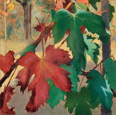 Dopo la Vendemmia