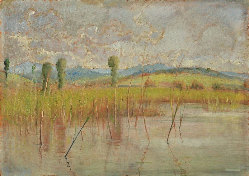 Valentino Ghiglia - Giuncaia sul Lago