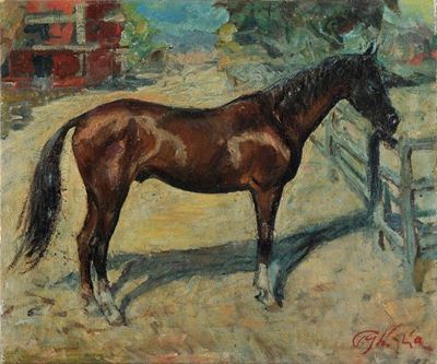 Cavallo