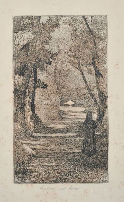 Sentiero nel Bosco