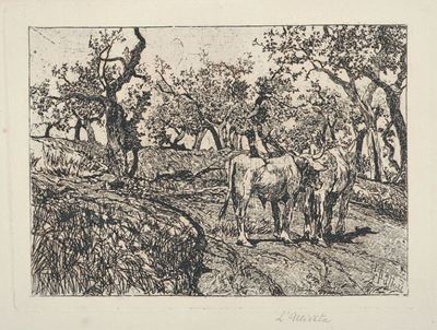 L'uliveta