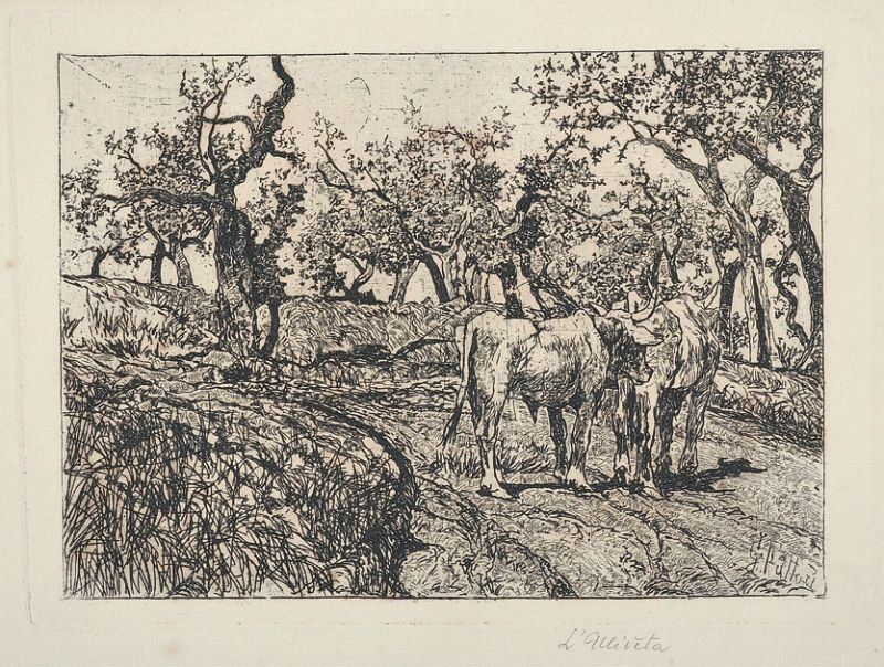Giovanni Fattori - L'uliveta