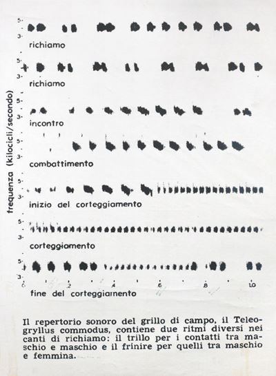 Visuelle Poesie
