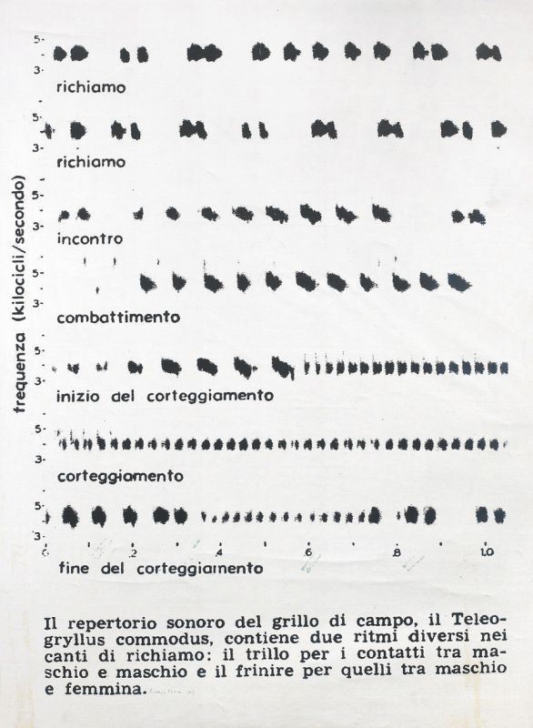 Franco Vaccari - Visuelle Poesie