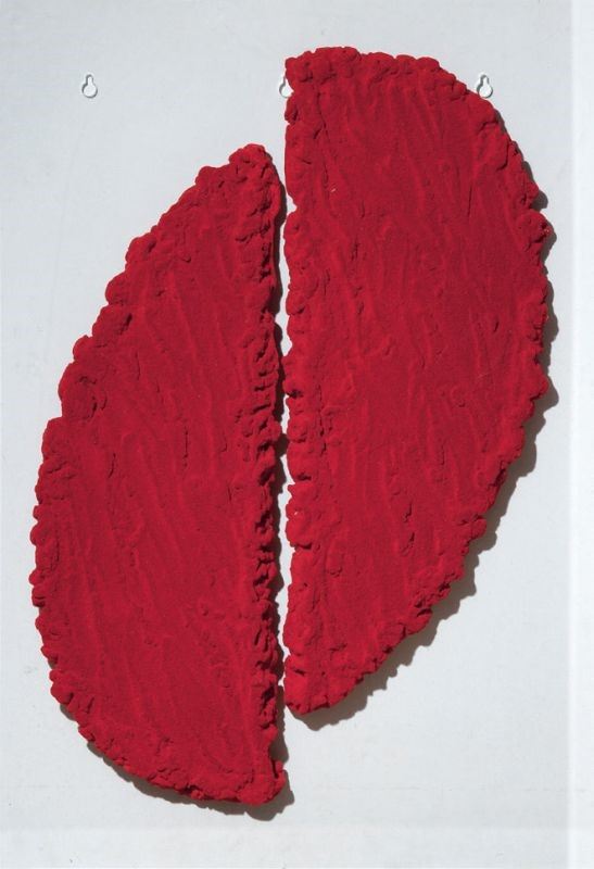 Pino Pinelli - Pittura R