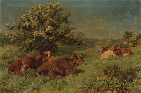 Ignoto del XIX secolo - Mucche al pascolo