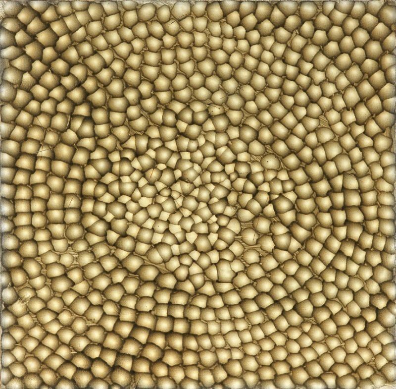 Ross Bleckner - Senza Titolo