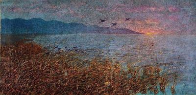 Lago di Massaciuccoli