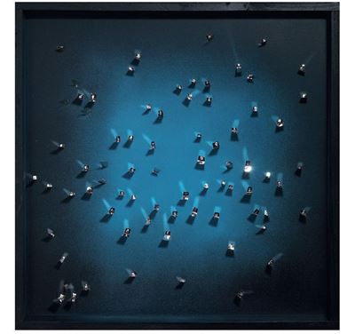 Reflex Blu