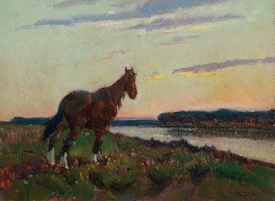 Cavallo