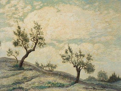 Ulivi