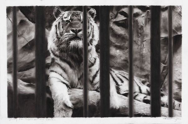 Robert Longo : Study for Tiger on the Rocks  (2010)  - Carboncino e inchiostro su carta vellum - Asta ARTE CONTEMPORANEA - I - Casa d'aste Farsettiarte