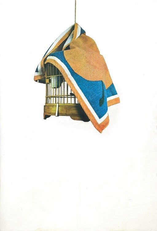 Michelangelo Pistoletto - Gabbia
