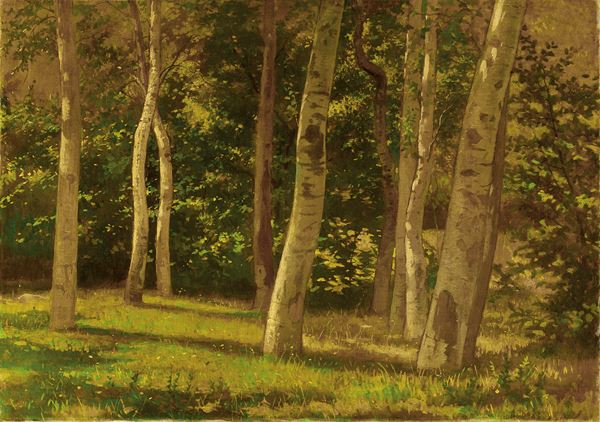 Francesco Gioli : Primavera nel bosco  (1891)  - Olio su tela - Auction DIPINTI E SCULTURE DEL XIX E XX SECOLO - II - Casa d'aste Farsettiarte