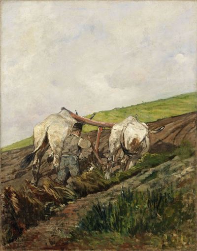 L'aratura
