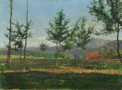 Paesaggio Presso Mondovì