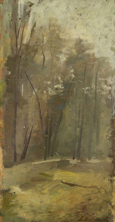 Studio di Bosco