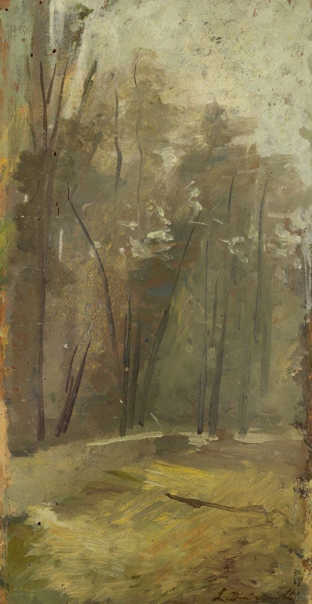 Leonardo Dudreville - Studio di Bosco