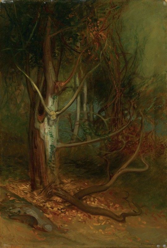 Riccardo Tommasi Ferroni - Paesaggio