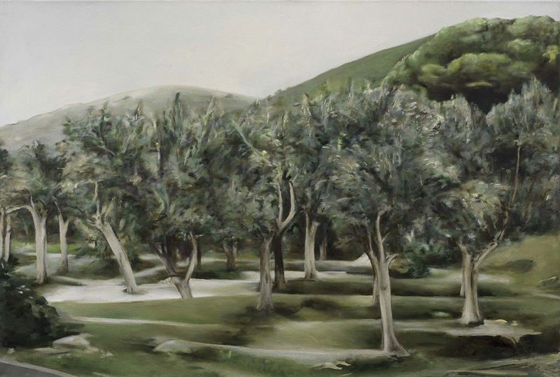 Franz Baumgartner - Senza Titolo