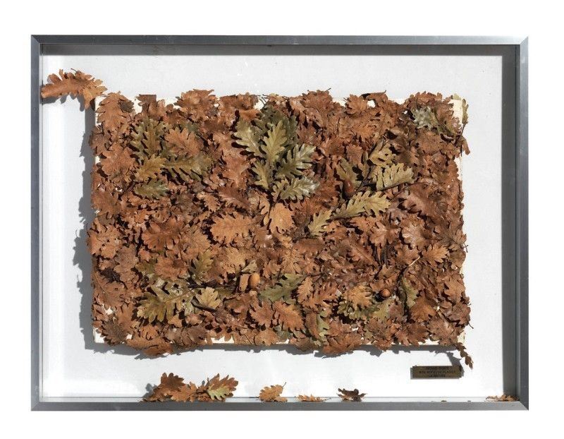 Christian Tobas - Nature Morte. Mon Refus De Plagier la Nature