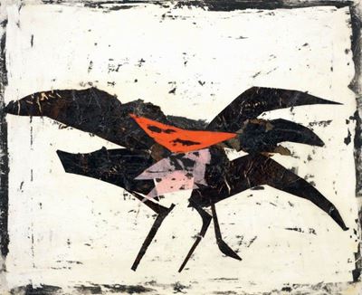 Uccelli