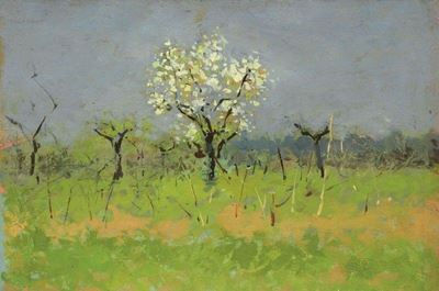 Alberi in Fiore