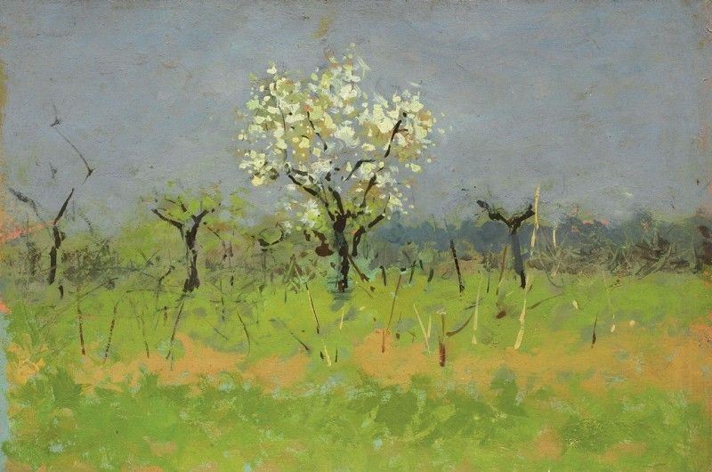 Carlo Passigli - Alberi in Fiore