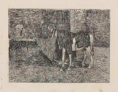 Cavallo nella Stalla