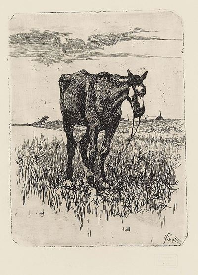 Il Vecchio Cavallo
