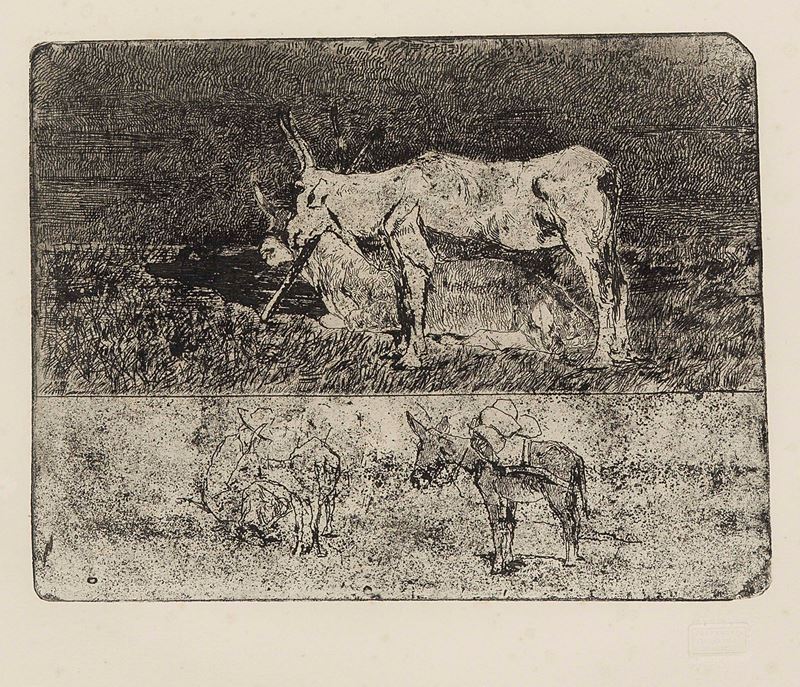 Giovanni Fattori - Studi di Animali