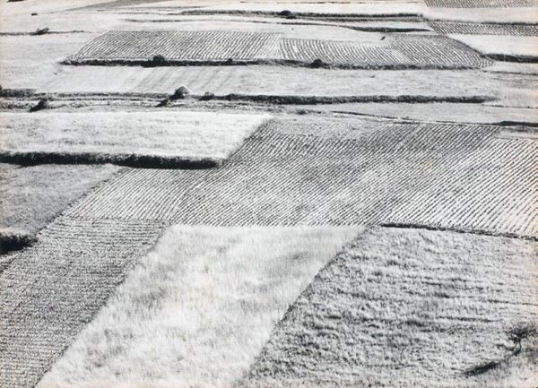 Mario Giacomelli - Paesaggio