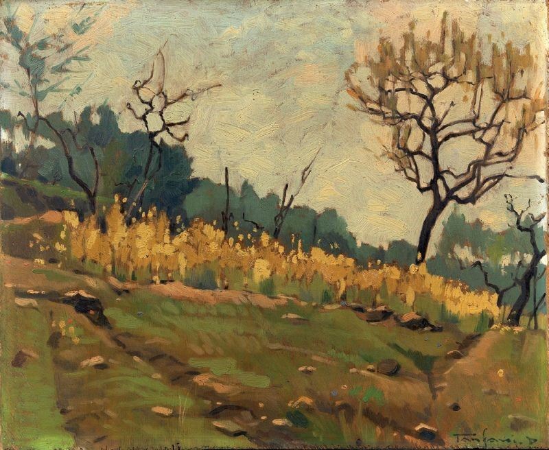 Desiderio Tanfani - Campagna di Settignano