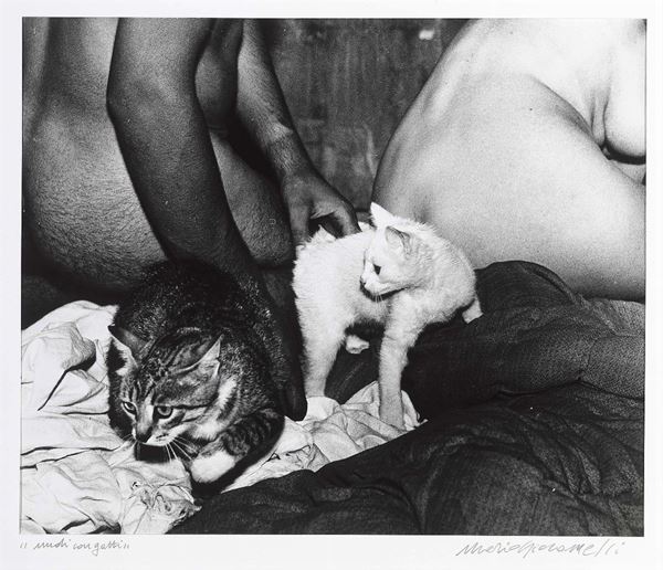 Mario Giacomelli : Nudi con gatti  - Stampa alla gelatina ai sali d'argento - Auction Arte Contemporanea - I - Casa d'aste Farsettiarte