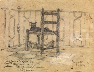 Il Gattino