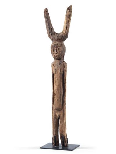 Scultura Bongo