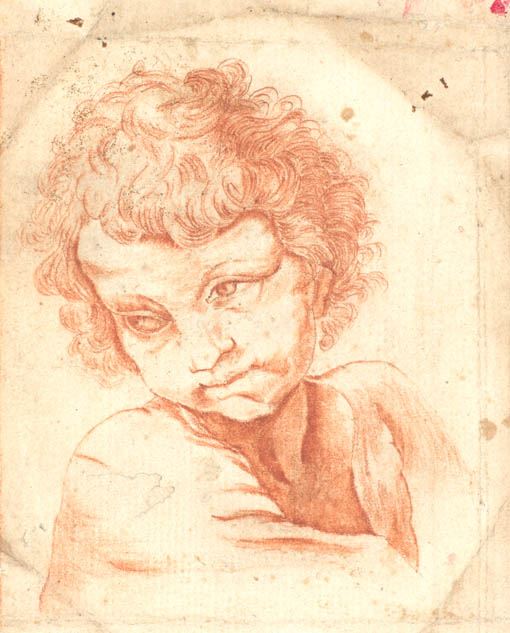 Scuola bolognese del XVIII secolo - Studio di testa di un fanciullo