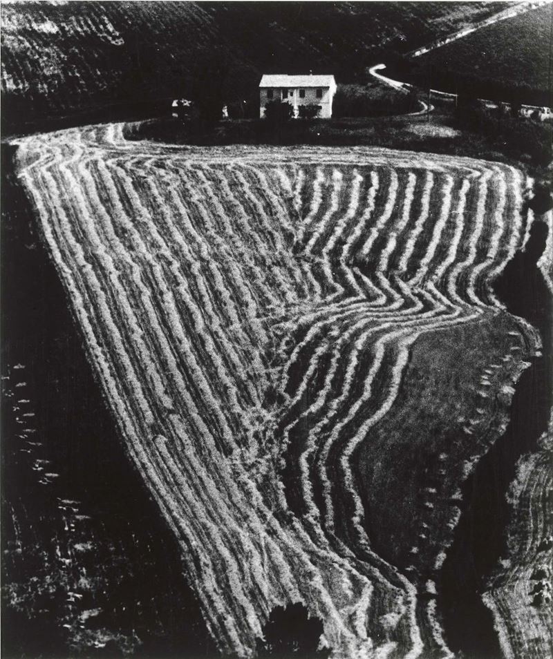 Mario Giacomelli - Presa di Coscienza sulla Natura, la Terra