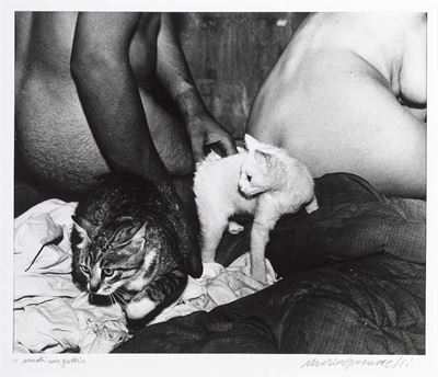 Nudi con Gatti
