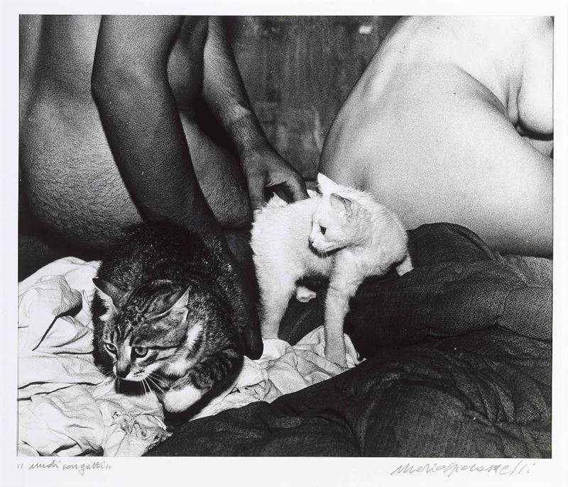 Mario Giacomelli - Nudi con Gatti