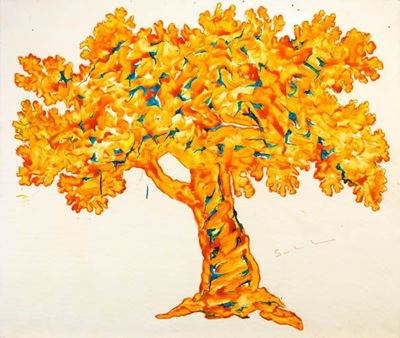 Albero